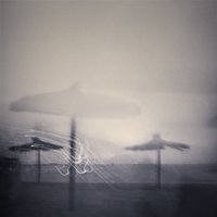 Waterscapes/Landscapes