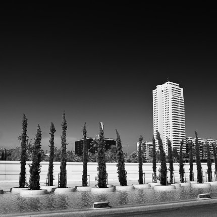 Valencia - City of Arts and Sciences #16