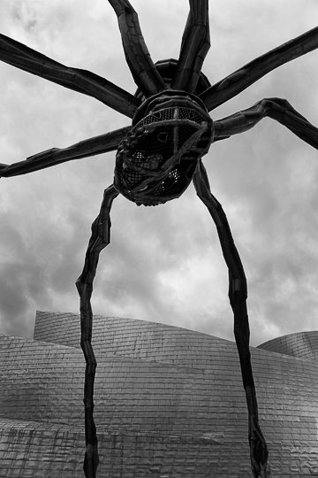 Bilbao - Guggenheim Museum #12