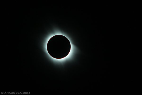 Corona Sun