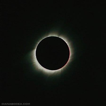 Corona Sun