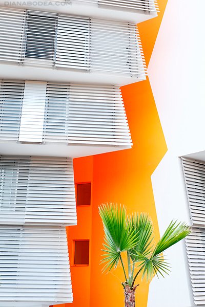 Life Marina - Ibiza #4