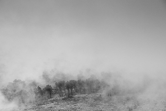Morning mist - Rute, Cordoba