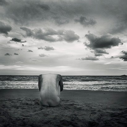 Sea Story #3