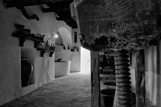 Olive Oil Extraction #1