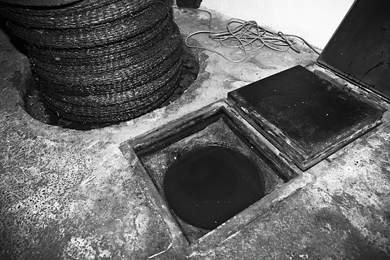 Olive Oil Extraction #18