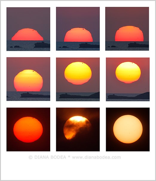 Transit of Venus - Colage